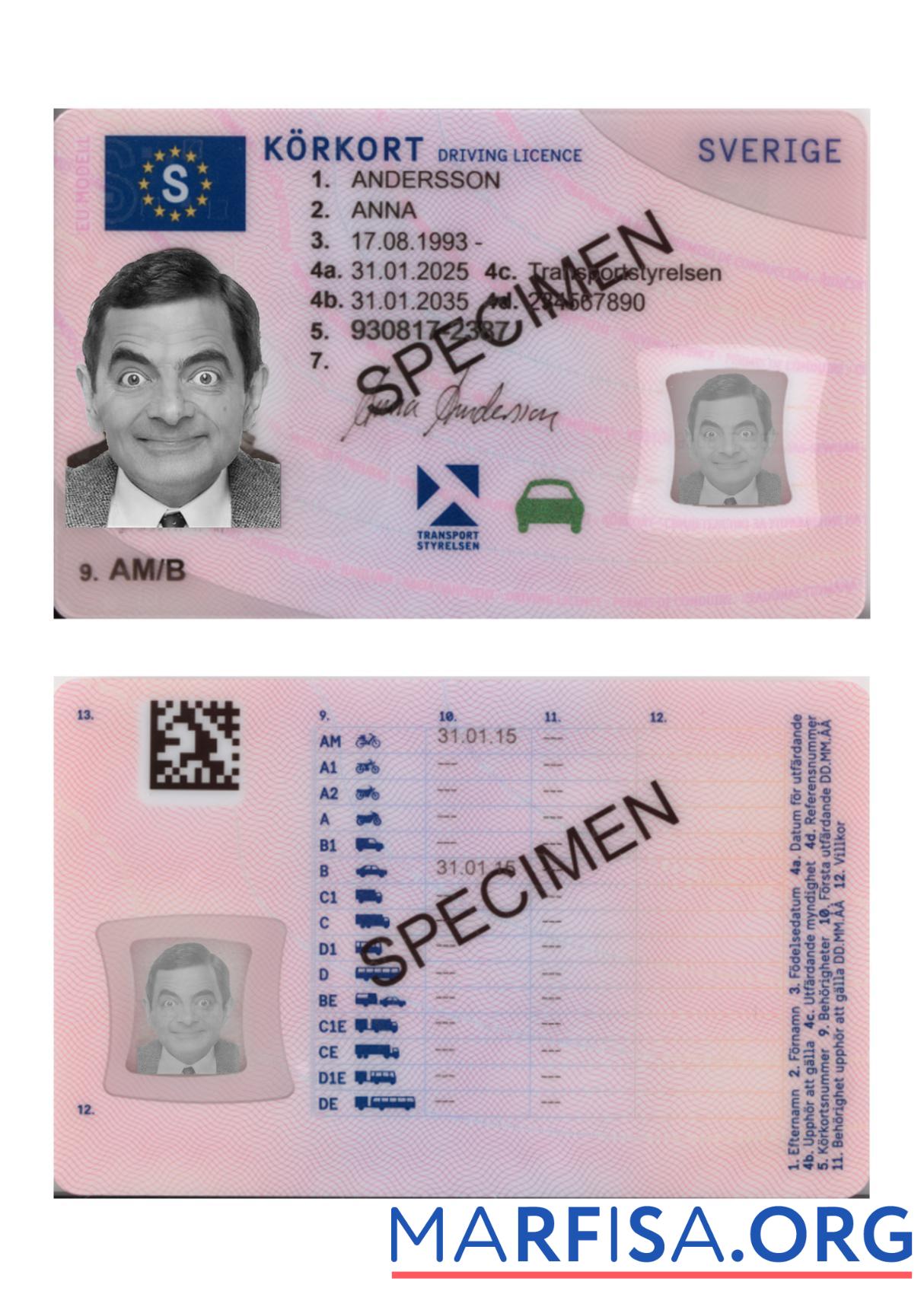 Blank Sweden driving license 2025 present download for verification